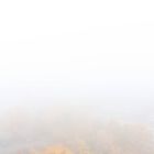 Nebel über Jena