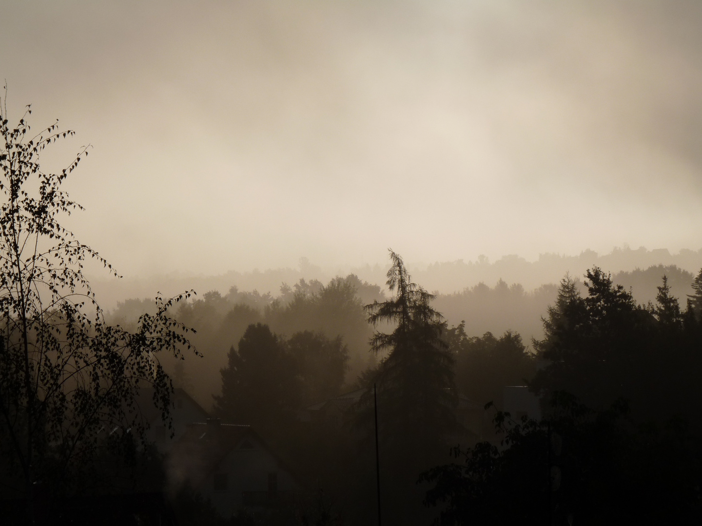 Nebel über "Kamerun"