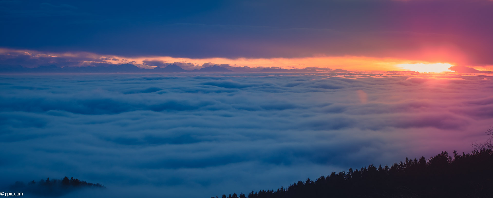 Nebel über Linz