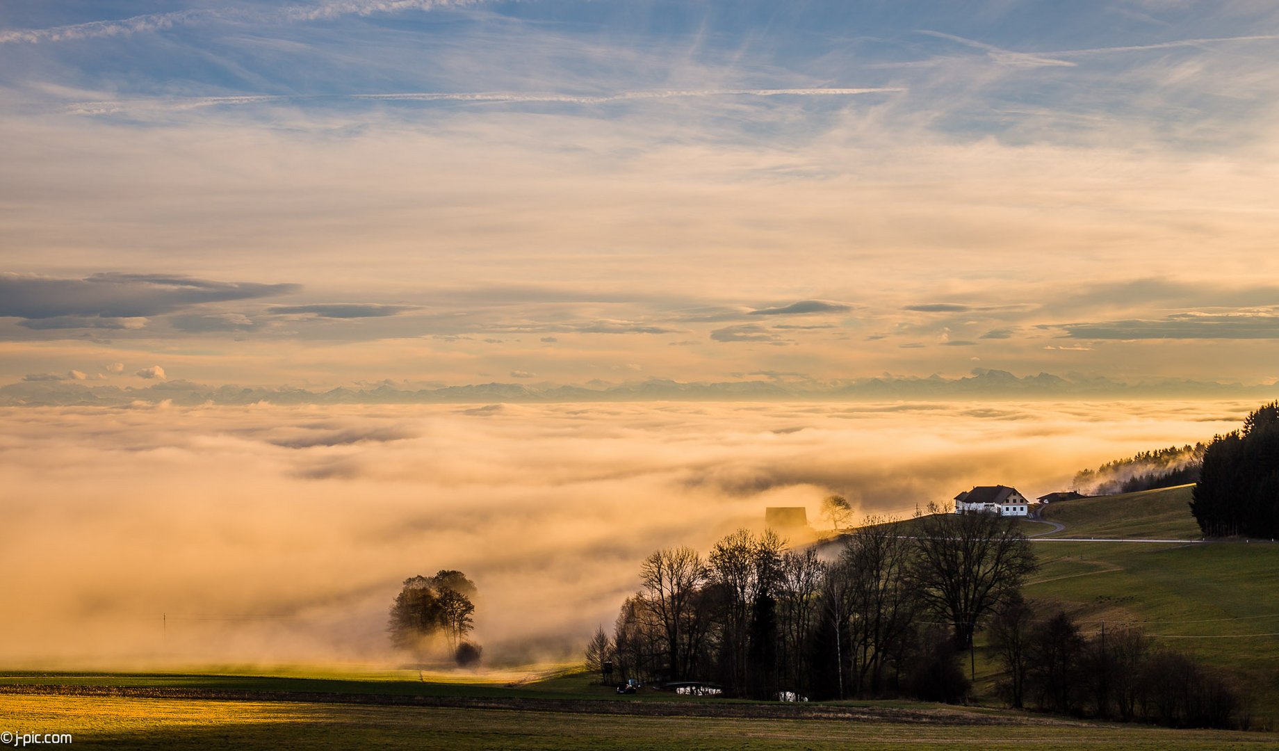 Nebel über Linz II