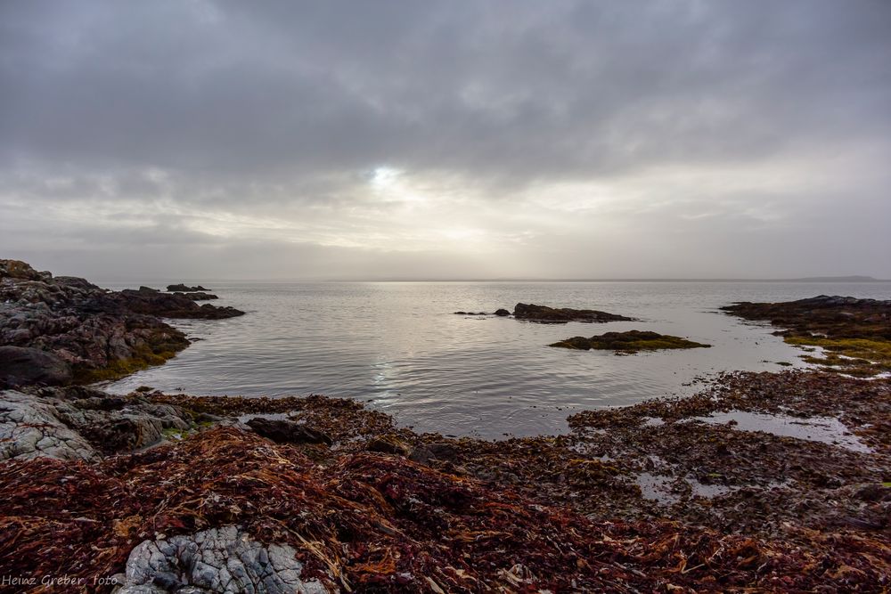 Nebel über Loch Indaal