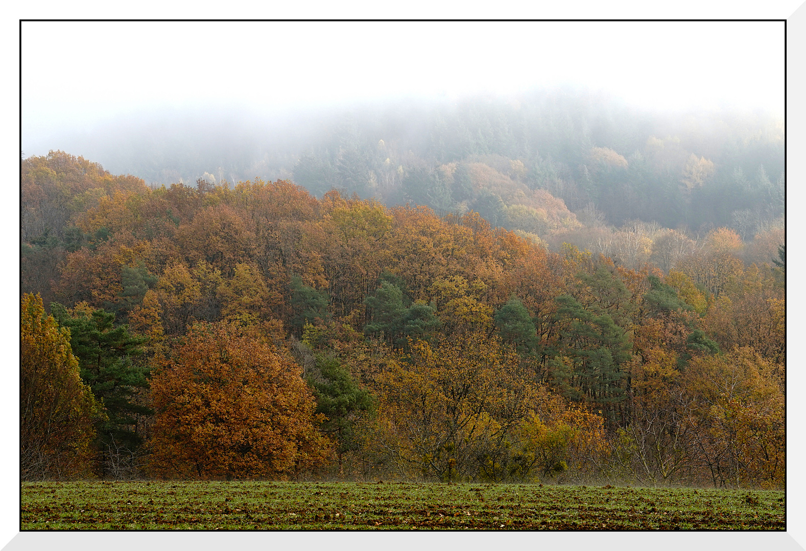 Nebel über 'm Odenwald