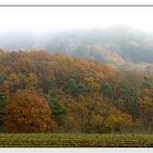 Nebel über 'm Odenwald