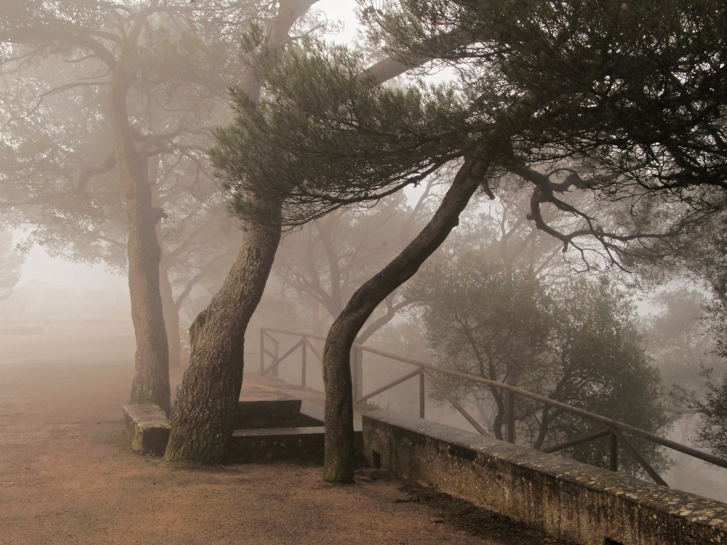 Nebel über Mallorca