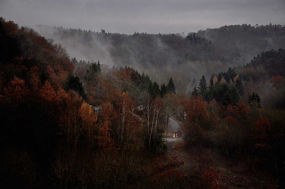 Nebel über Manderscheid