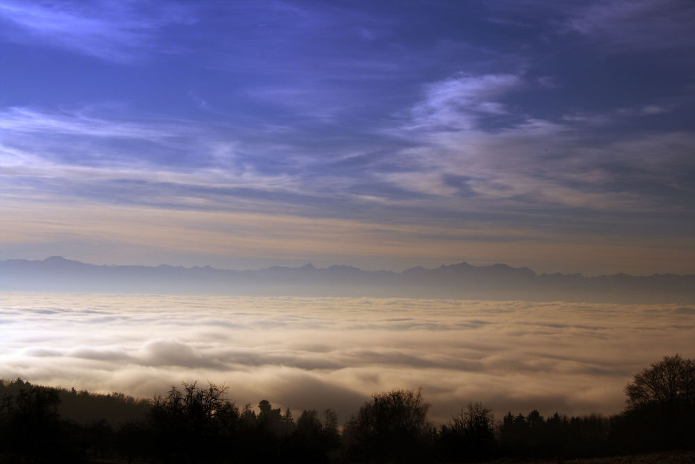 Nebel über Markdorf