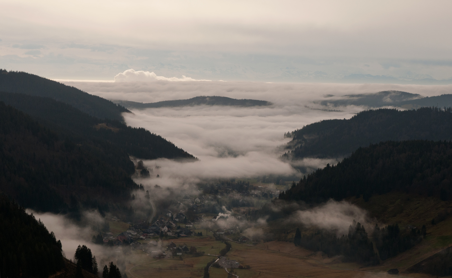 Nebel über Menzenschwand