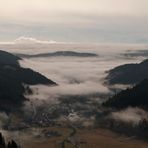 Nebel über Menzenschwand