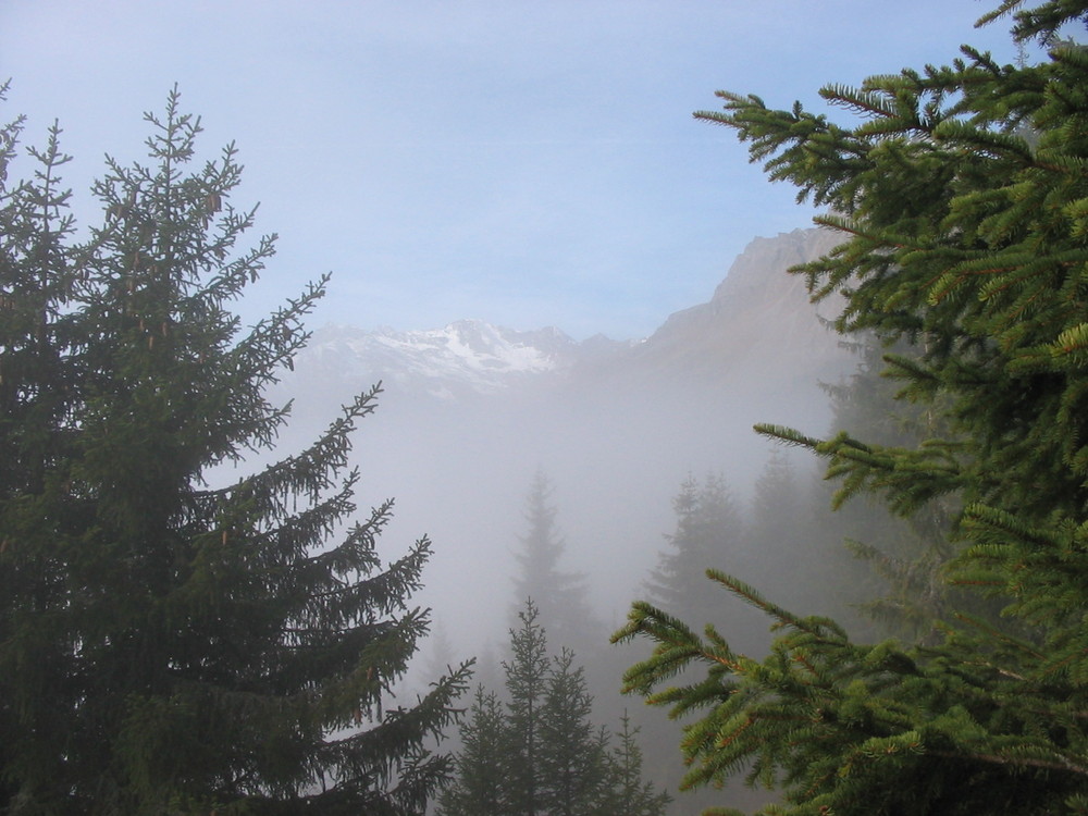 Nebel über Meran