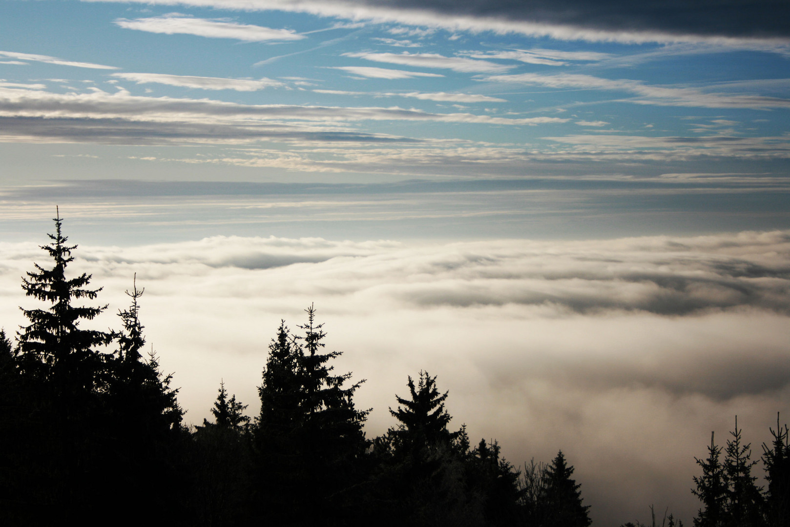 Nebel über Mühlviertel