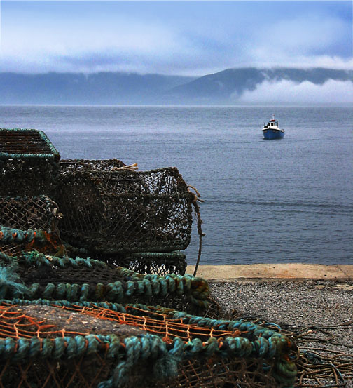 Nebel ueber Mull Schottland