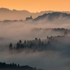 Nebel über Nammering