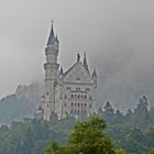 Nebel über Neuschwanstein