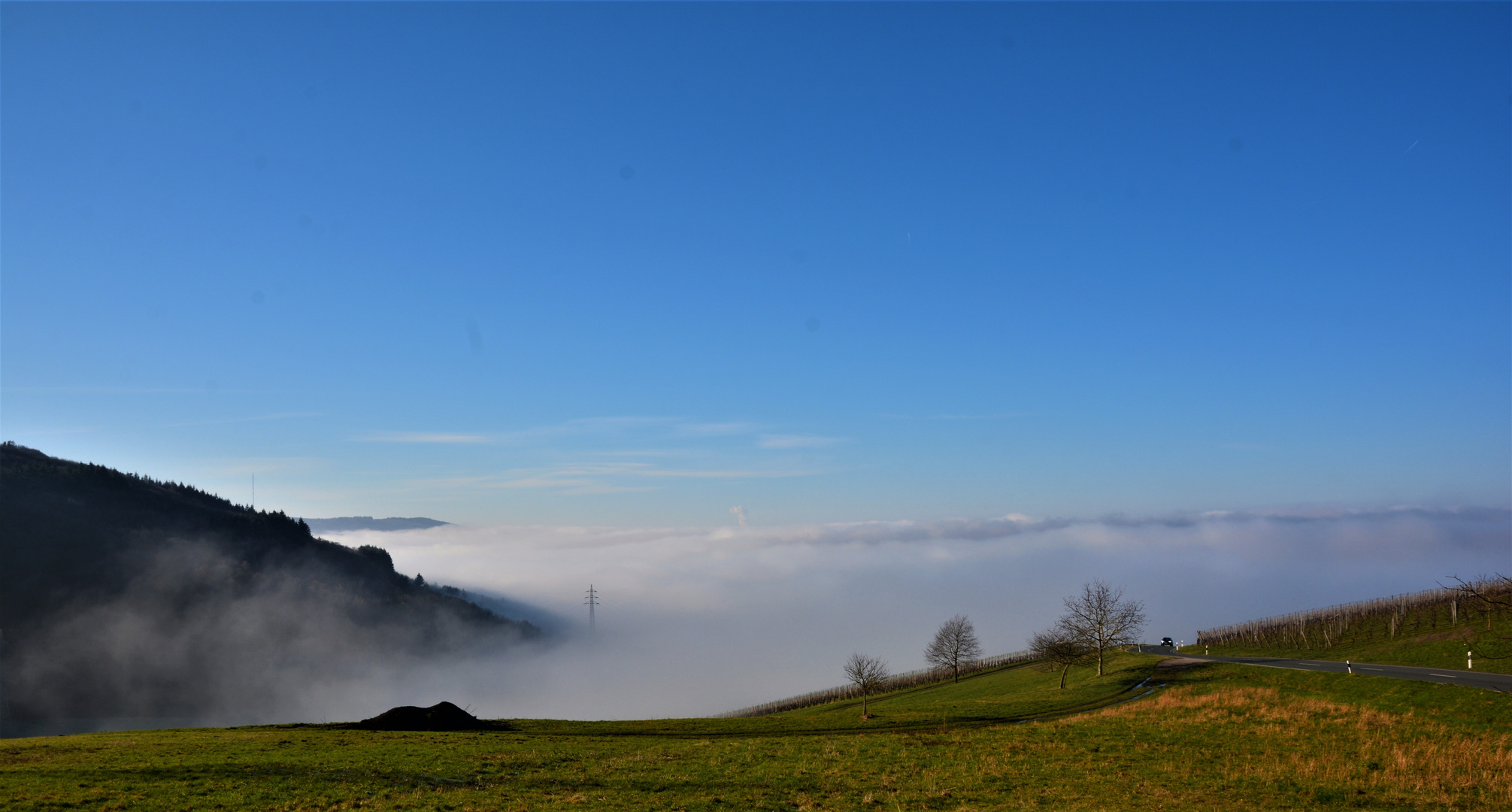 Nebel über Oberemmel Foto & Bild deutschland, europe, rheinlandpfalz