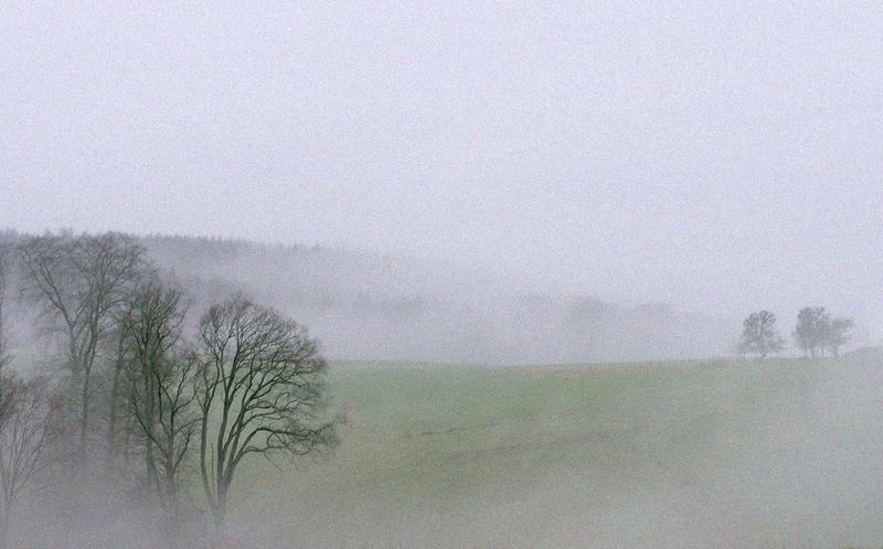 Nebel über Pferdekoppel