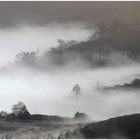 Nebel über Reisterrassen