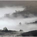 Nebel über Reisterrassen