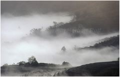 Nebel über Reisterrassen