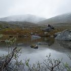 Nebel über Sápmi