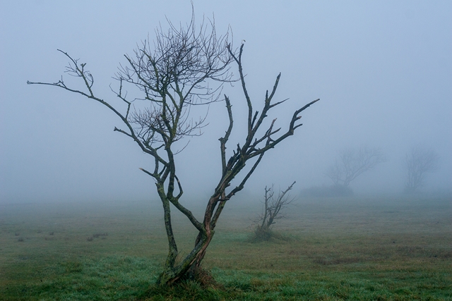 Nebel über Schillig