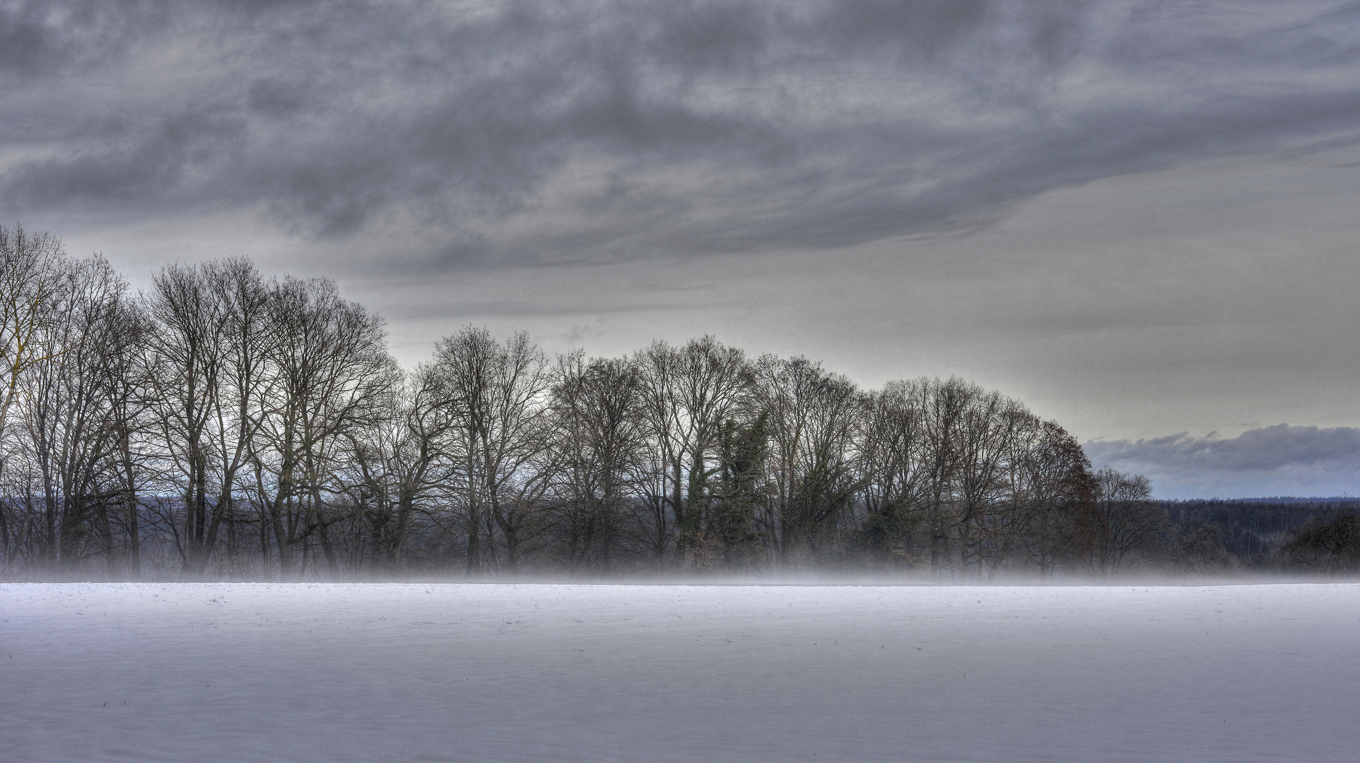 Nebel über Schnee