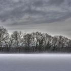 Nebel über Schnee