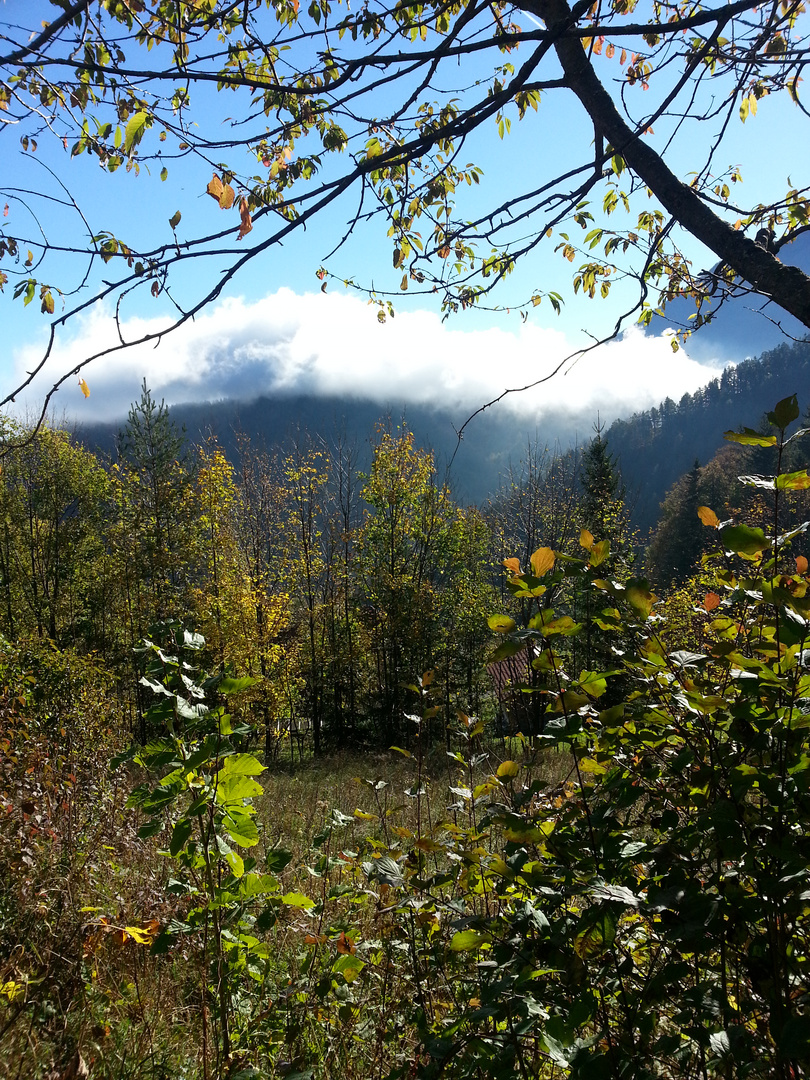 Nebel über Semmering