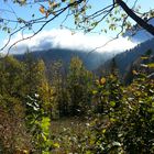 Nebel über Semmering