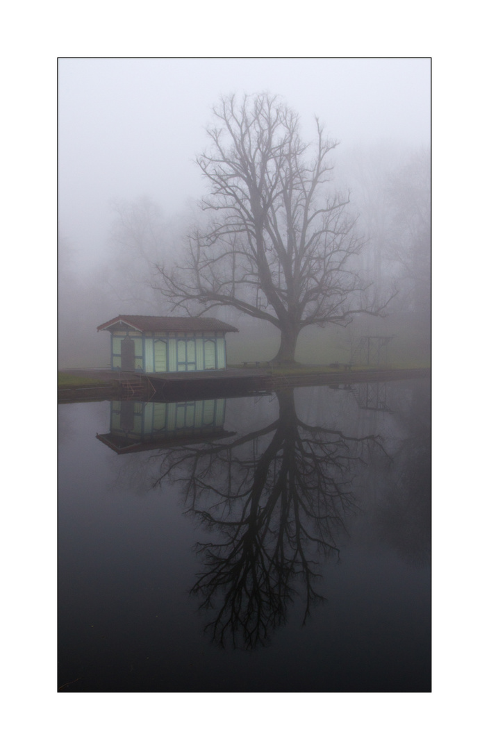 Nebel über St. Gallen