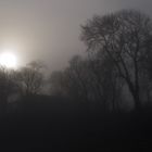 Nebel über Sylt - bald ist es wieder soweit!