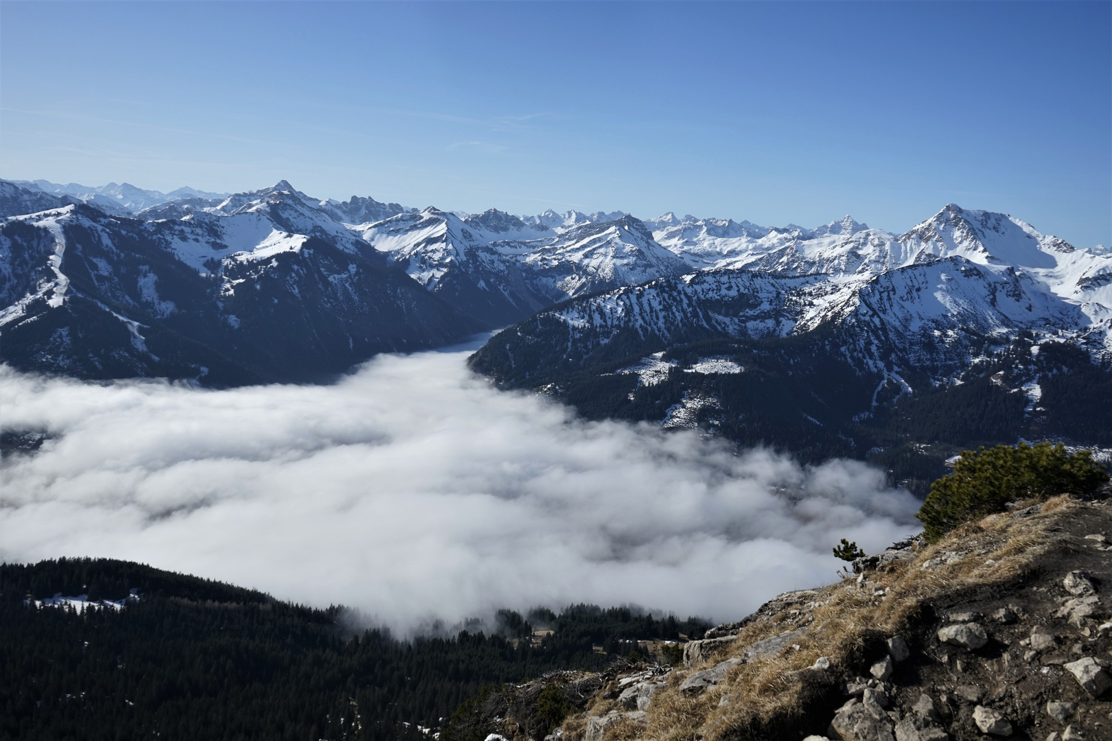 Nebel über Tannheim