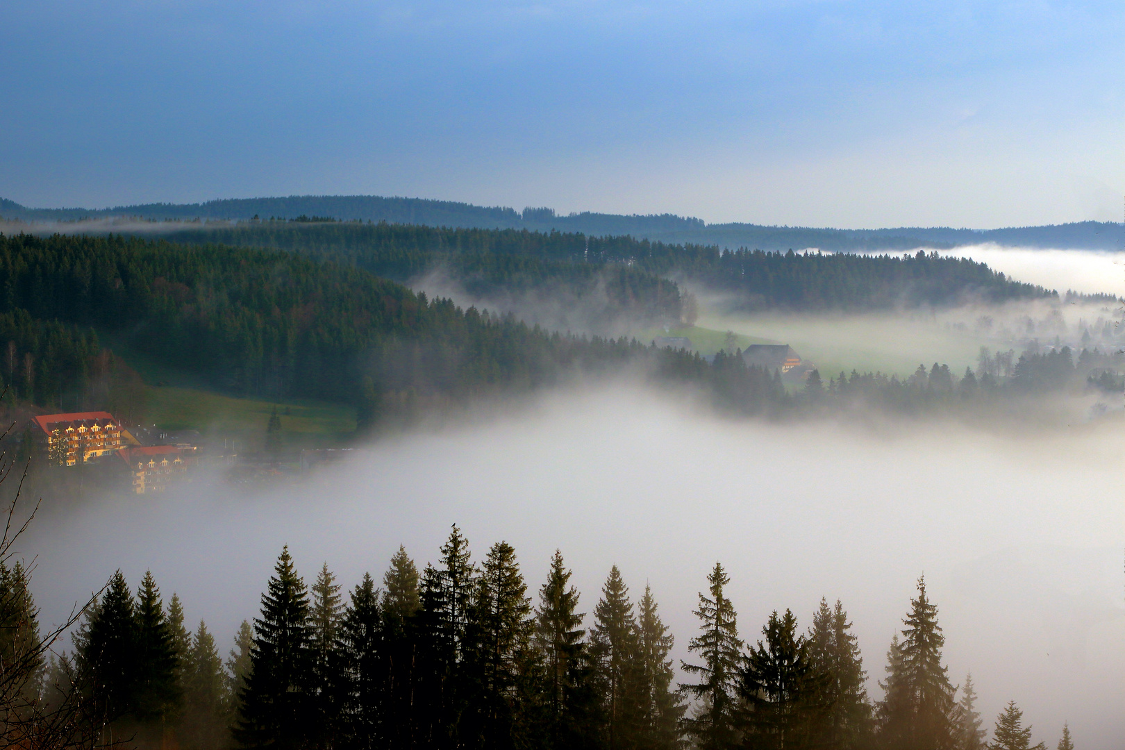 Nebel über Titisee - Schwarzwald