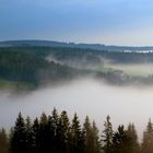 Nebel über Titisee - Schwarzwald