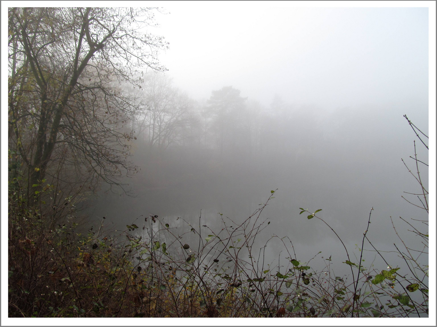Nebel über unserem Badesee........... Foto & Bild landschaft