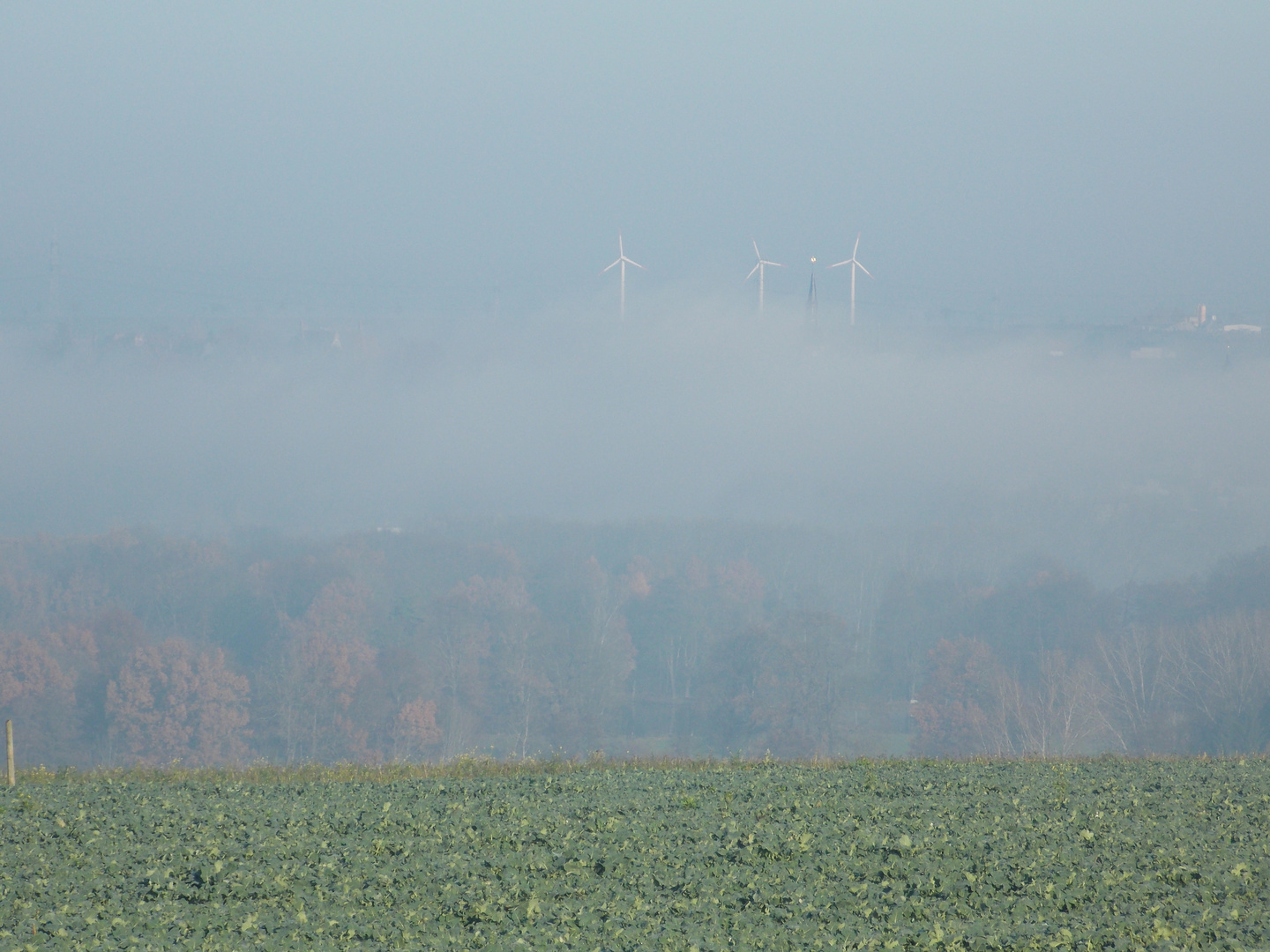 Nebel über Waldenburg