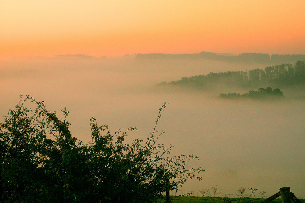 Nebel über Wenholthausen