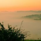 Nebel über Wenholthausen