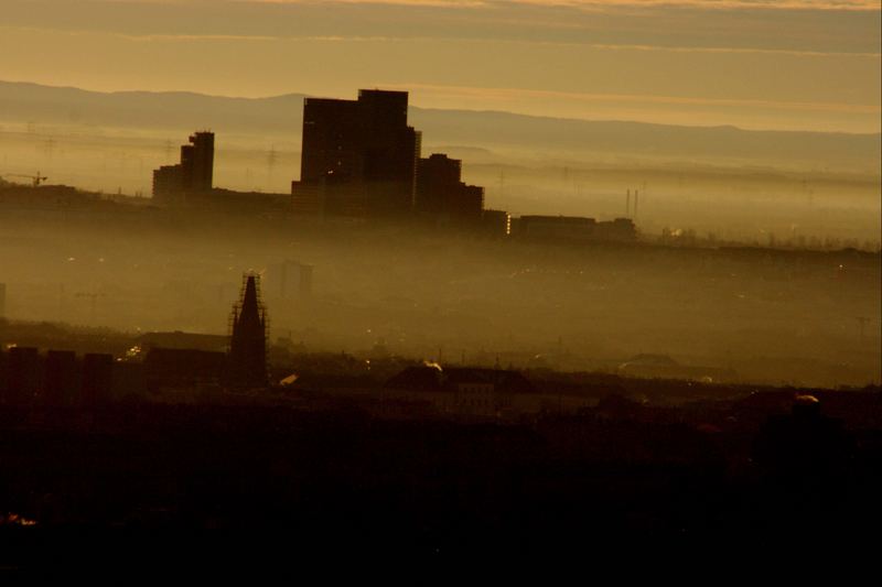 nebel über wien