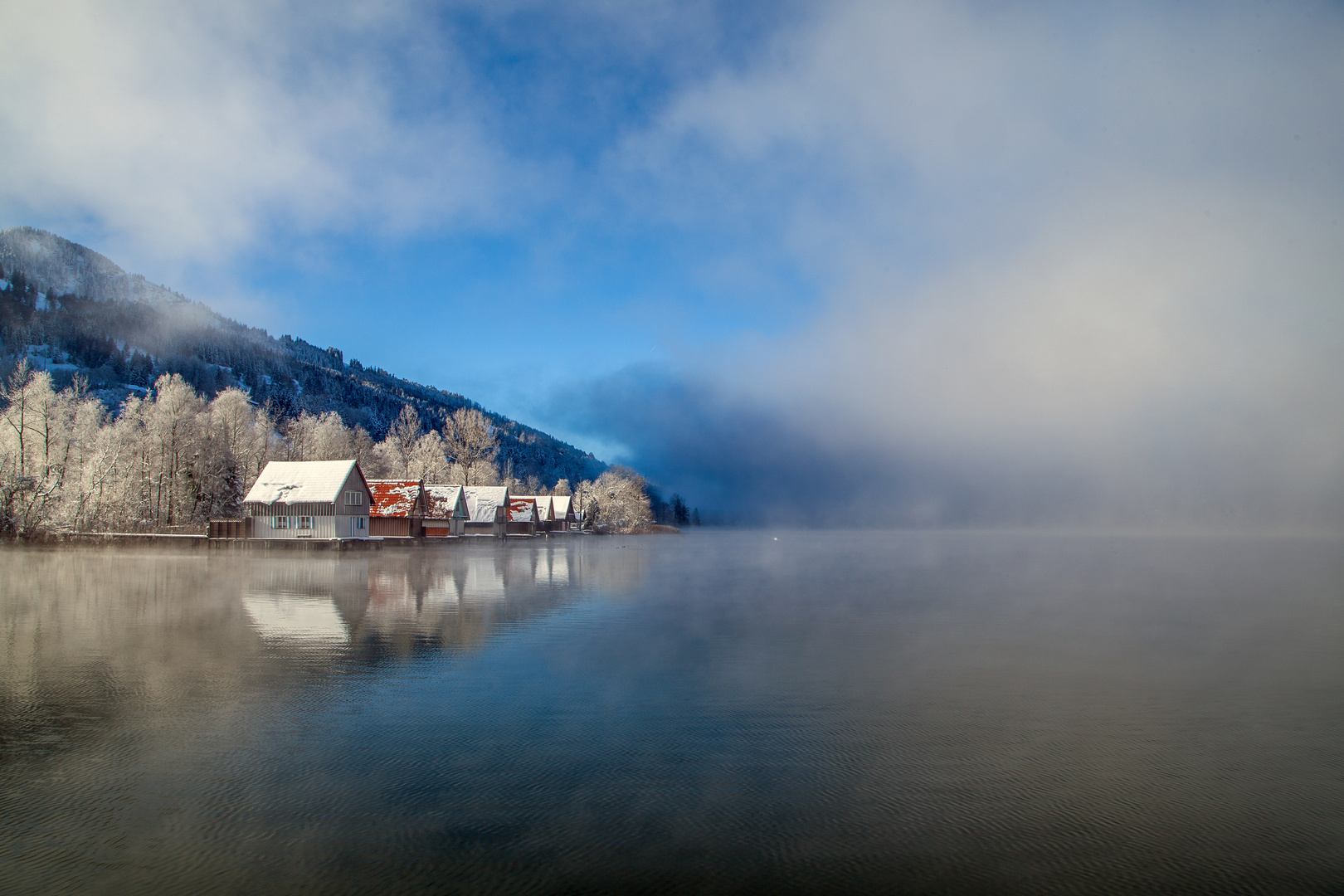 Nebel überm Alpsee