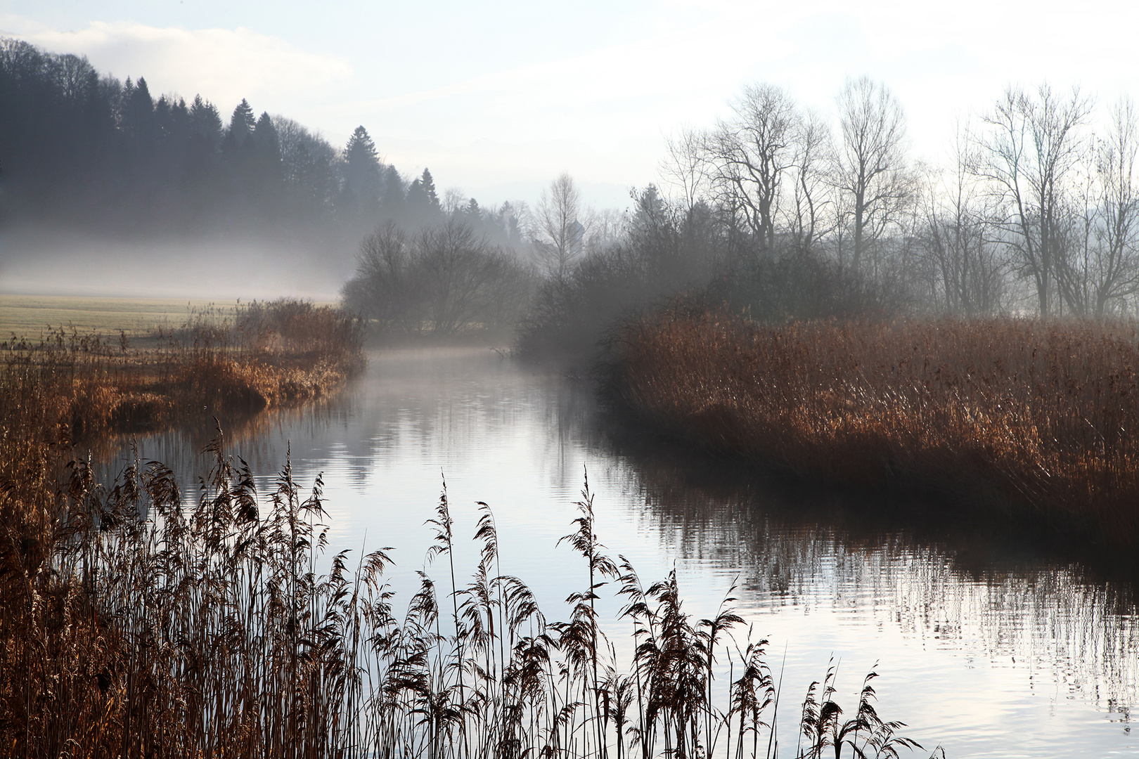 Nebel über`m Bach