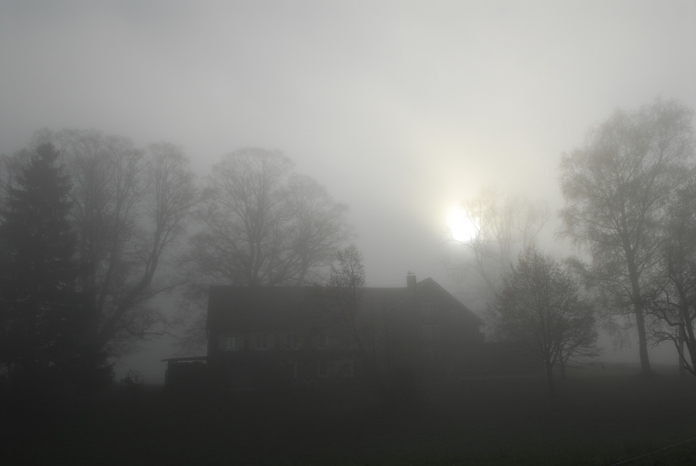 Nebel überm Benzenrueti - Appenzell - Schweiz