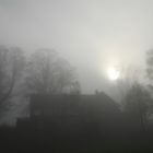 Nebel überm Benzenrueti - Appenzell - Schweiz
