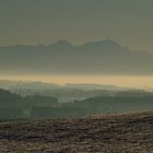 Nebel überm Bodenee - darüber Säntis