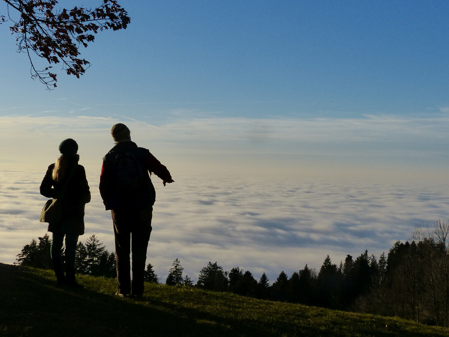 Nebel überm Bodensee