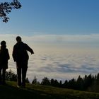 Nebel überm Bodensee