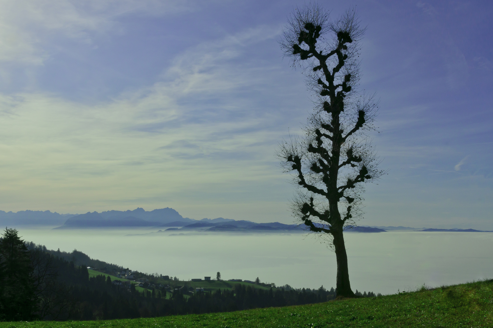 Nebel ueberm Bodensee