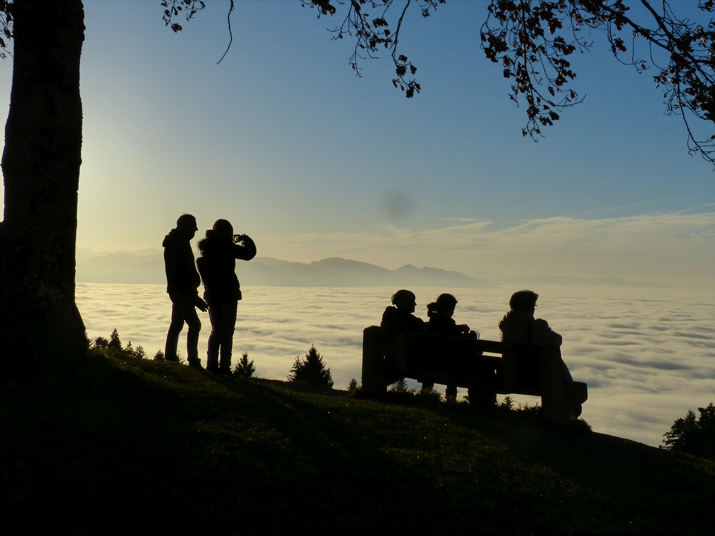 Nebel überm Bodensee