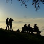 Nebel überm Bodensee