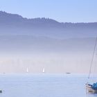 Nebel überm Bodensee