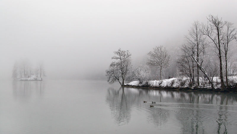 Nebel über´m Königssee